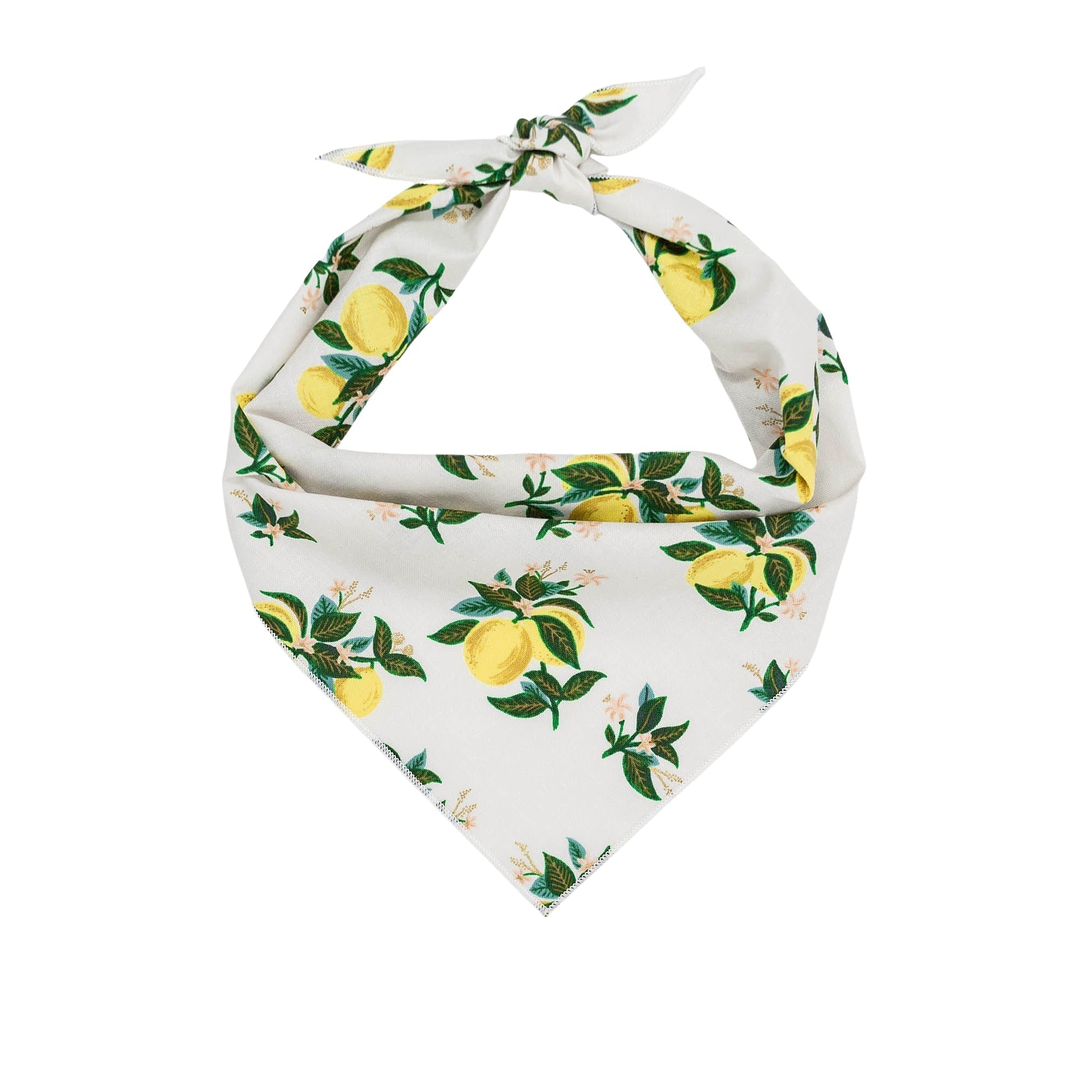 Citrus Blossom Lemon Dog Bandana X-Large