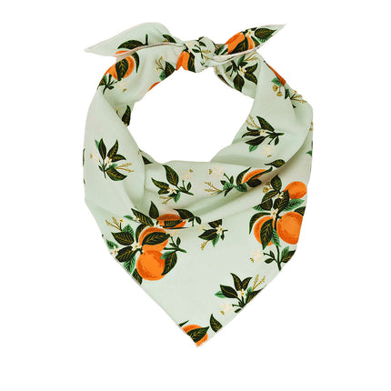 Citrus Blossom Orange Dog Bandana