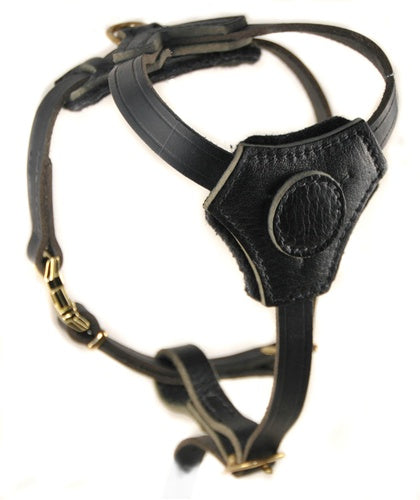 Classic Knight Harness