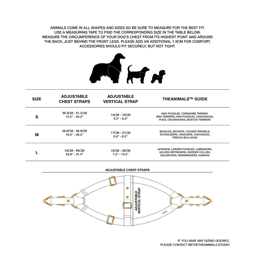 Classique Harnais Pour Chien