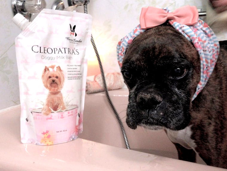 Cleopatras Doggy Milk Bath by Warren London