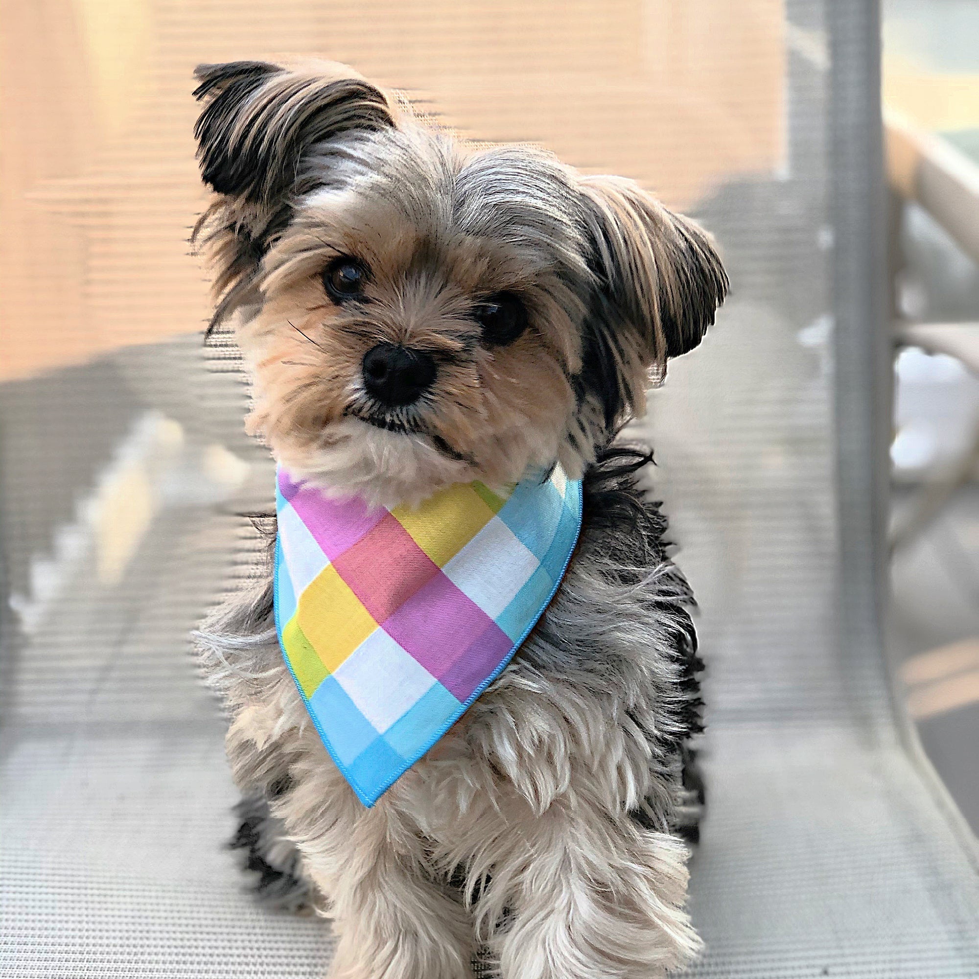 Colorful Plaid Dog Bandana