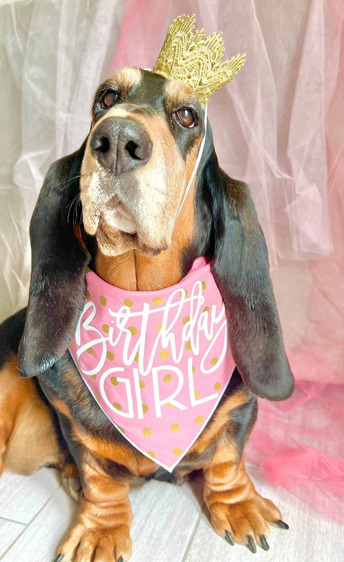 Contemporary Style Birthday Girl Tie Dog Bandana