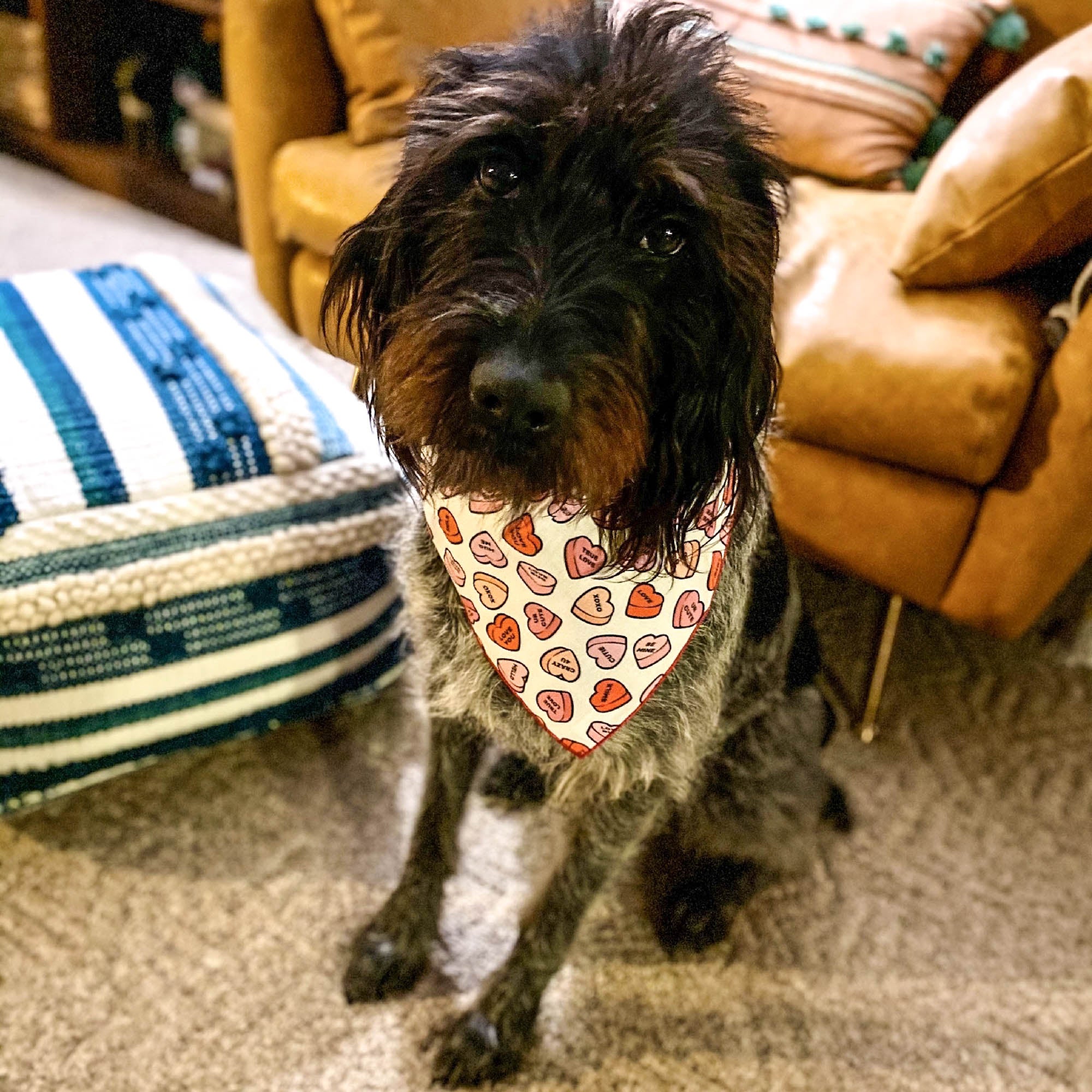 Conversation Hearts Valentine Bandana