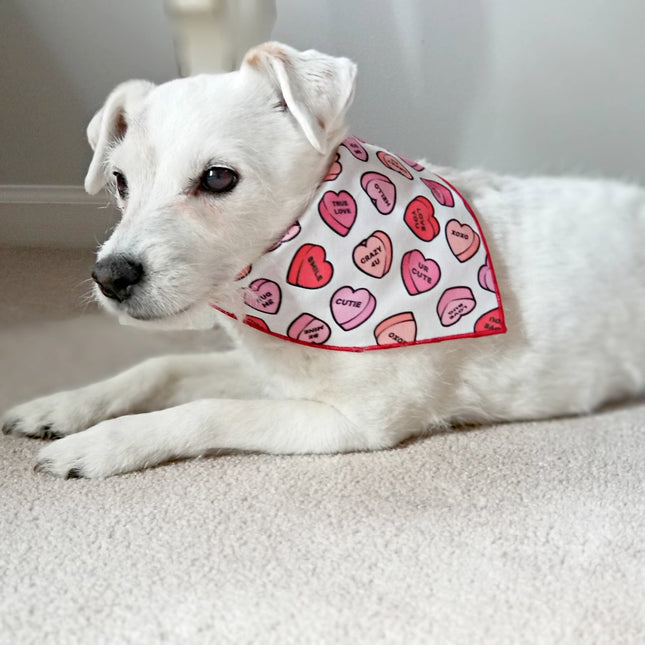 Conversation Hearts Valentine Bandana