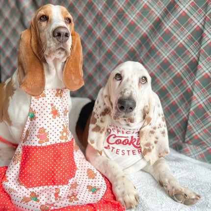 Cookie Tester Dog Bandana