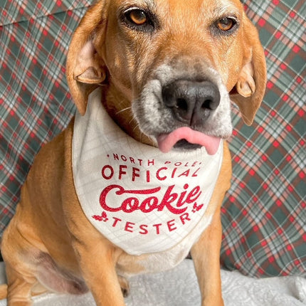 Cookie Tester Dog Bandana