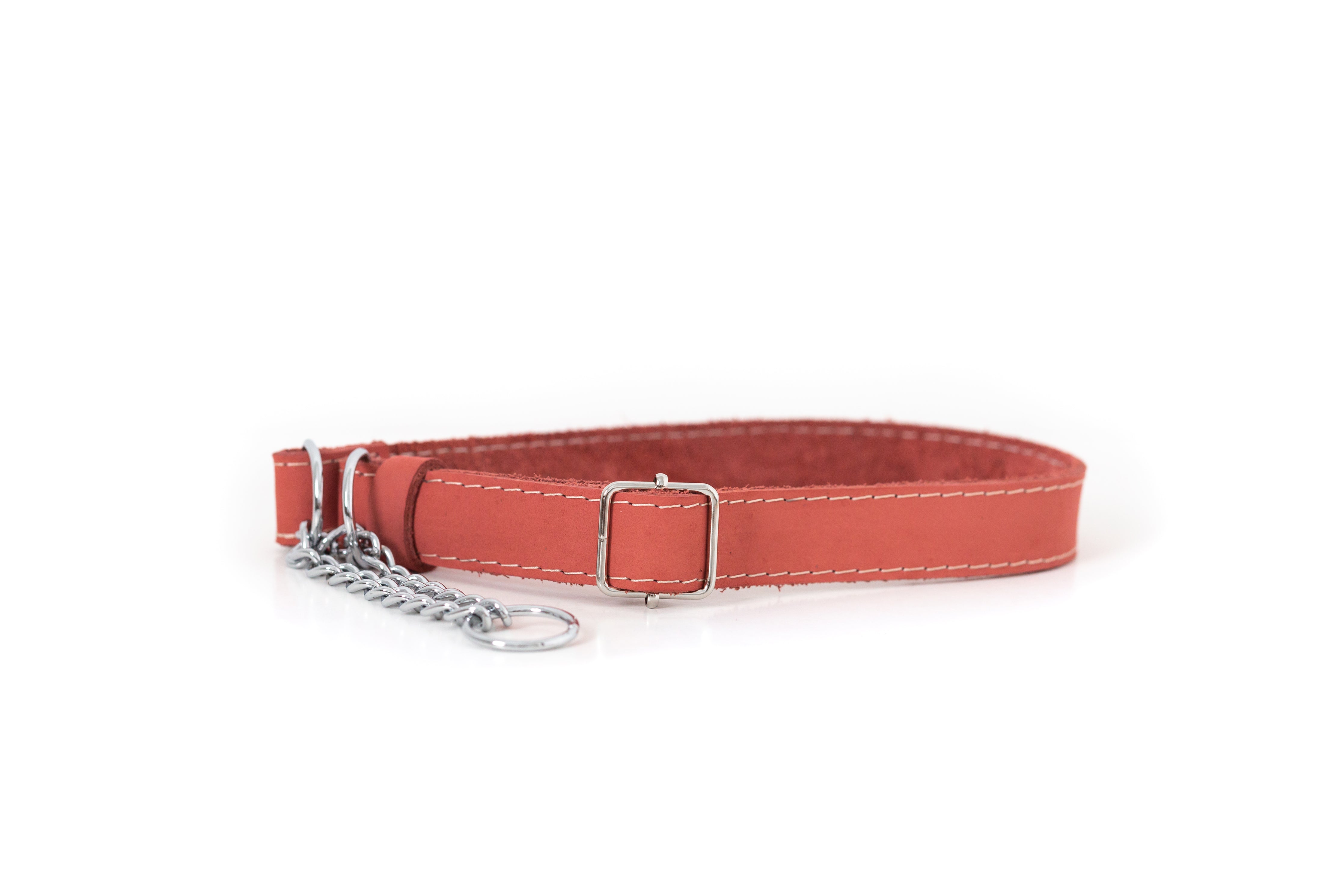 Martingale Leather Dog Collar