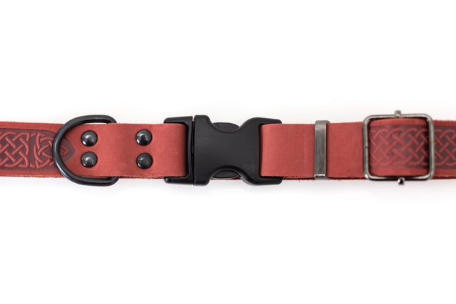 Celtic Sport Coral Reef Leather Dog Collar