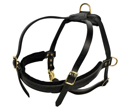 Cowboy Harness