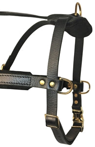 Cowboy Harness