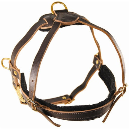 Cowboy Harness