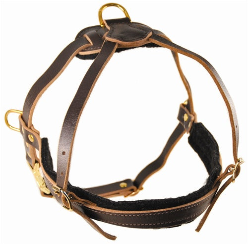 Cowboy Harness