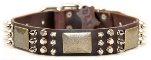 Crazy Combo Collar 1 1/2" Width