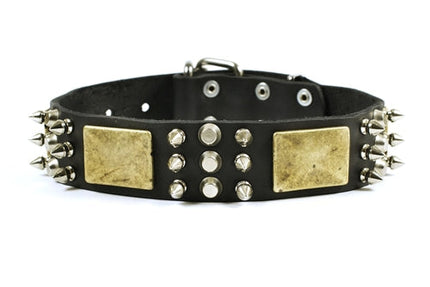 Crazy Combo Collar 1 1/2" Width