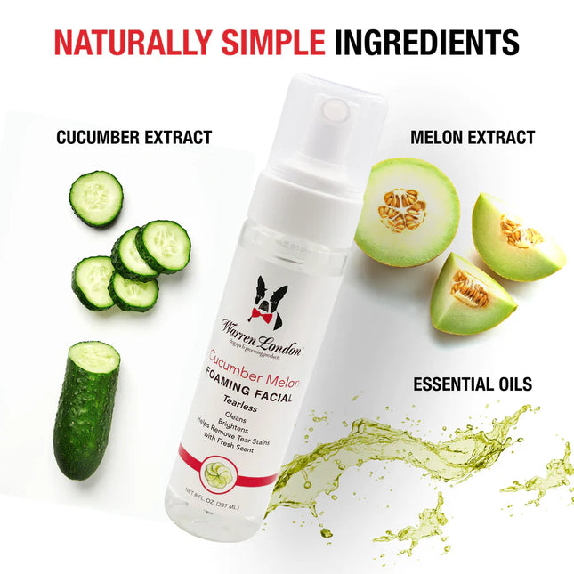 Cucumber Melon Foaming Facial by Warren London