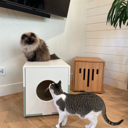 Custom Litter Box Enclosure for Cats