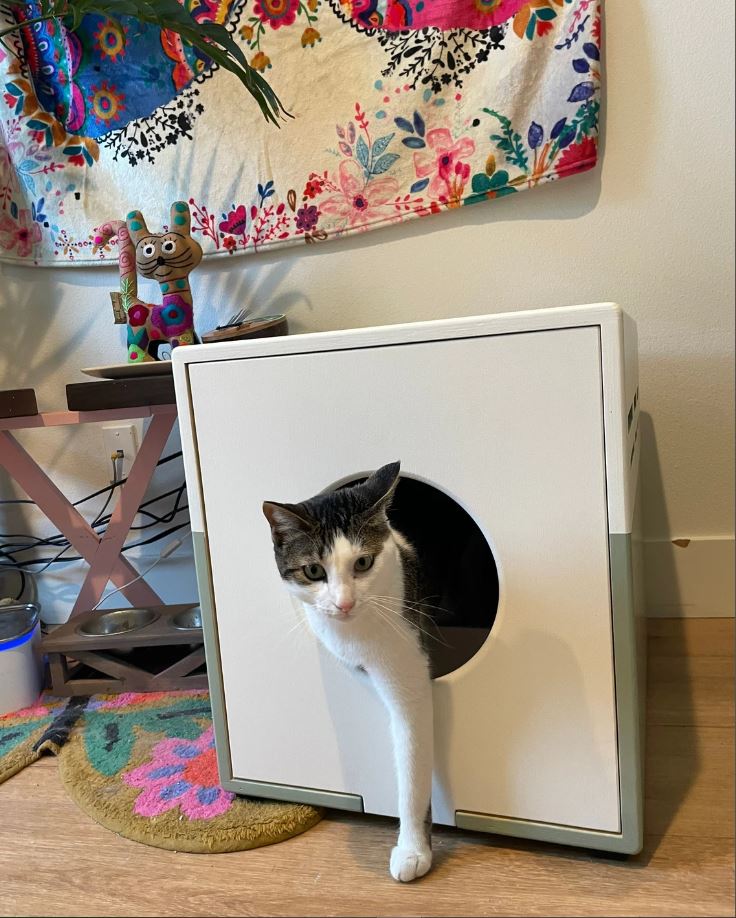 Custom Litter Box Enclosure for Cats HT Animal Supply