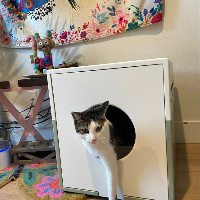 Custom Litter Box Enclosure for Cats