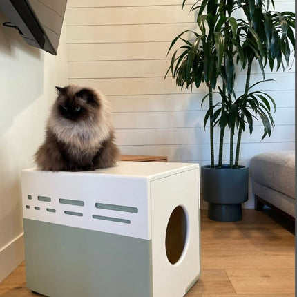 Custom Litter Box Enclosure for Cats