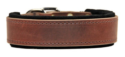 D&T Delight Collar 1" Width