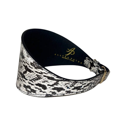 White & Black 4” Wide Snake Collar