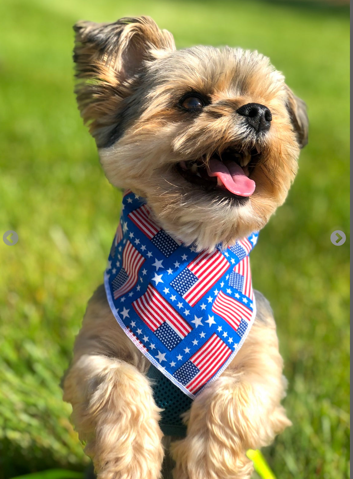 American Flag Dog Bandana