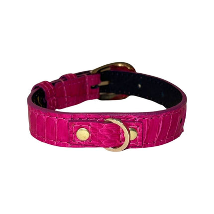 XS Fuchsia Snake 7”-14” Collar/Custom Gold Italian Hardware