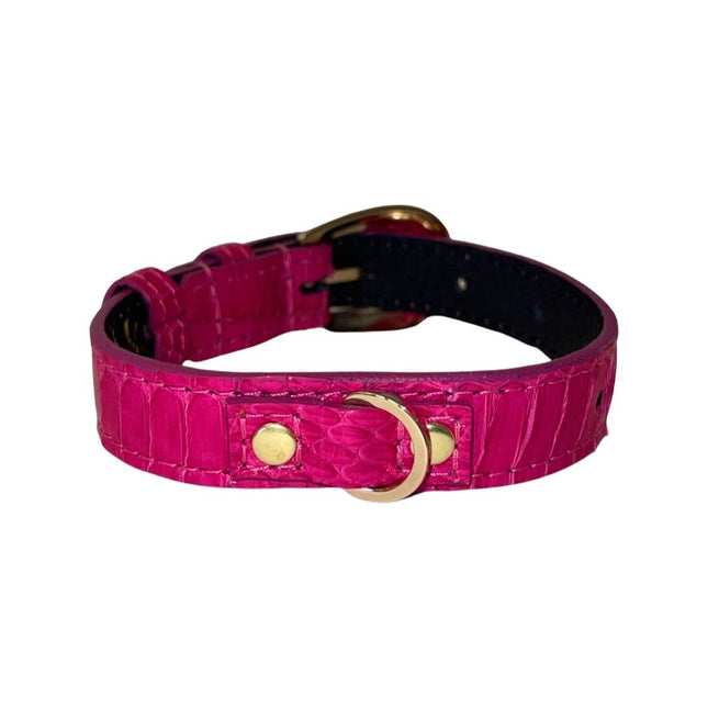 XS Fuchsia Snake 7”-14” Collar/Custom Gold Italian Hardware