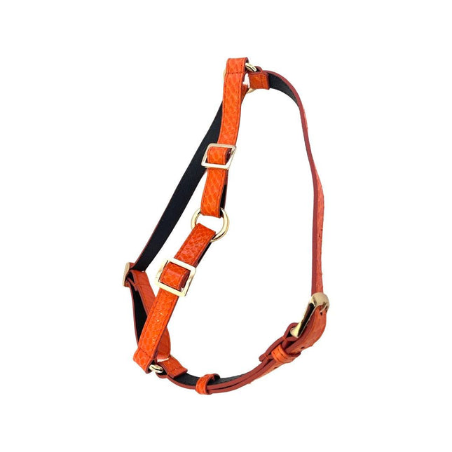 Orange Snake Harness