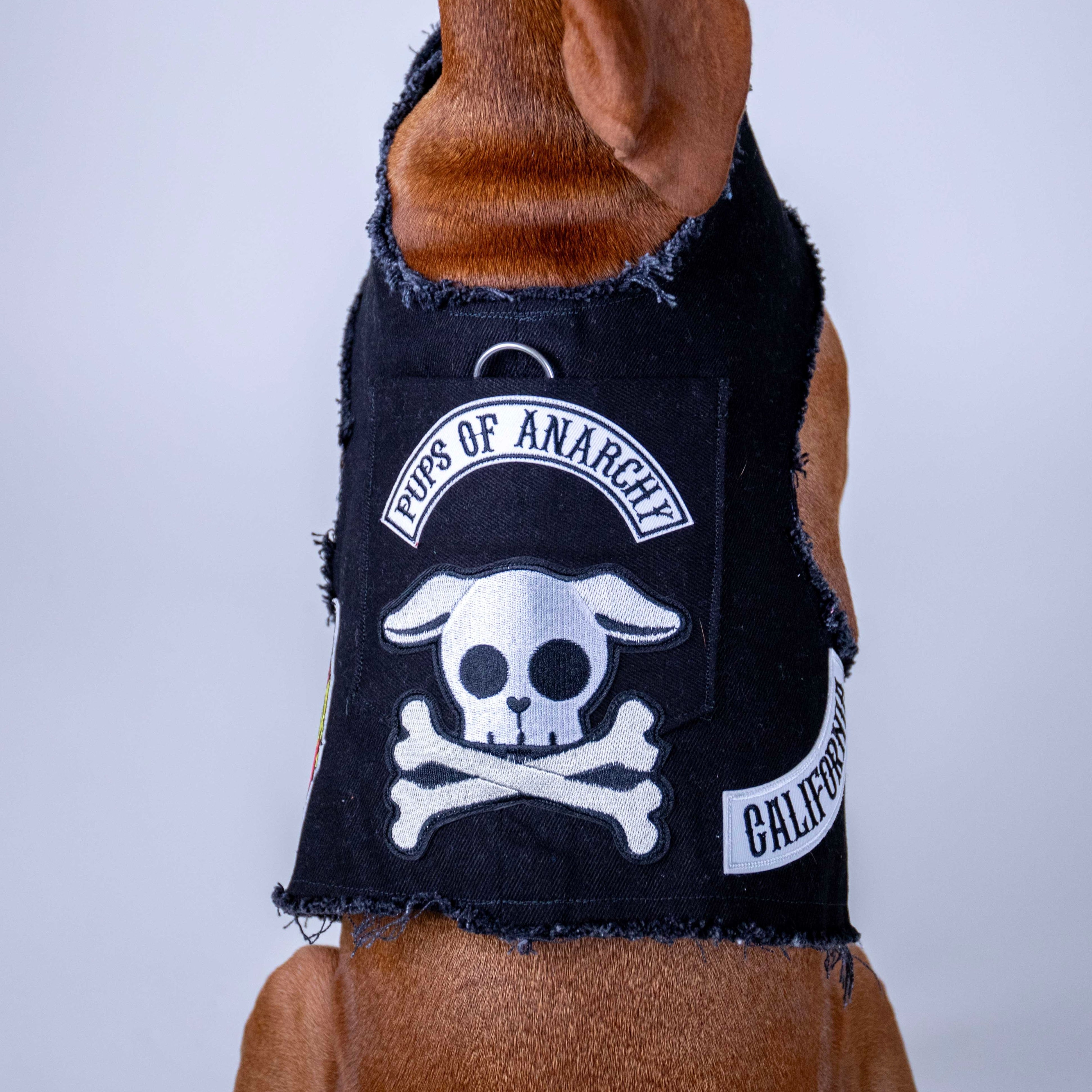 Pups of Anarchy Harness