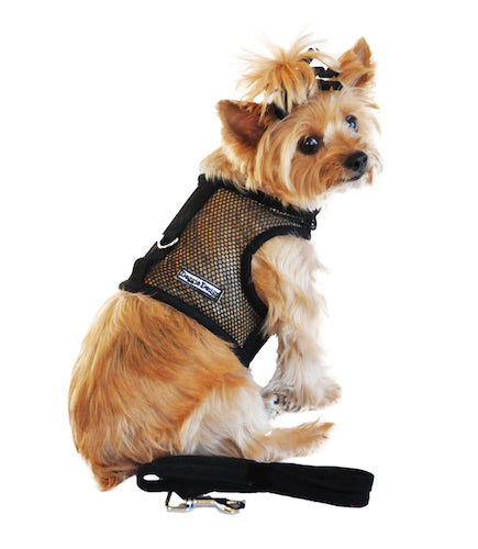 Cool Mesh Dog Harness - Solid Black Option