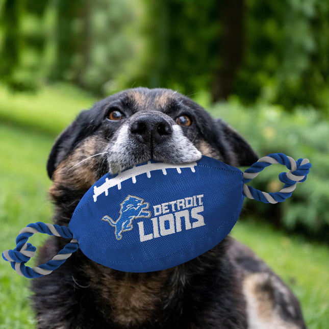 NFL Detroit Lions Nylon Football Toy