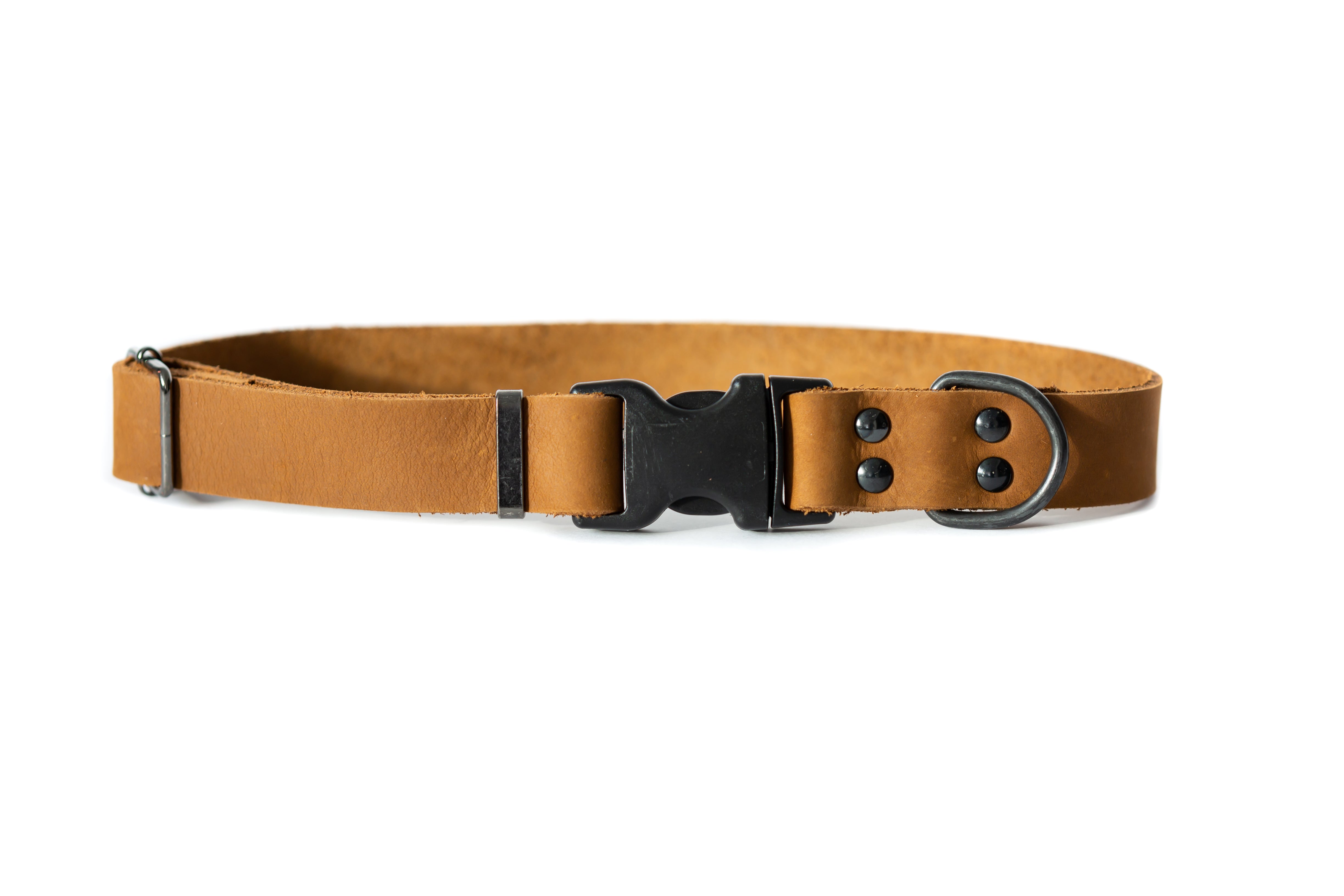 Sport Style Leather Dog Collar