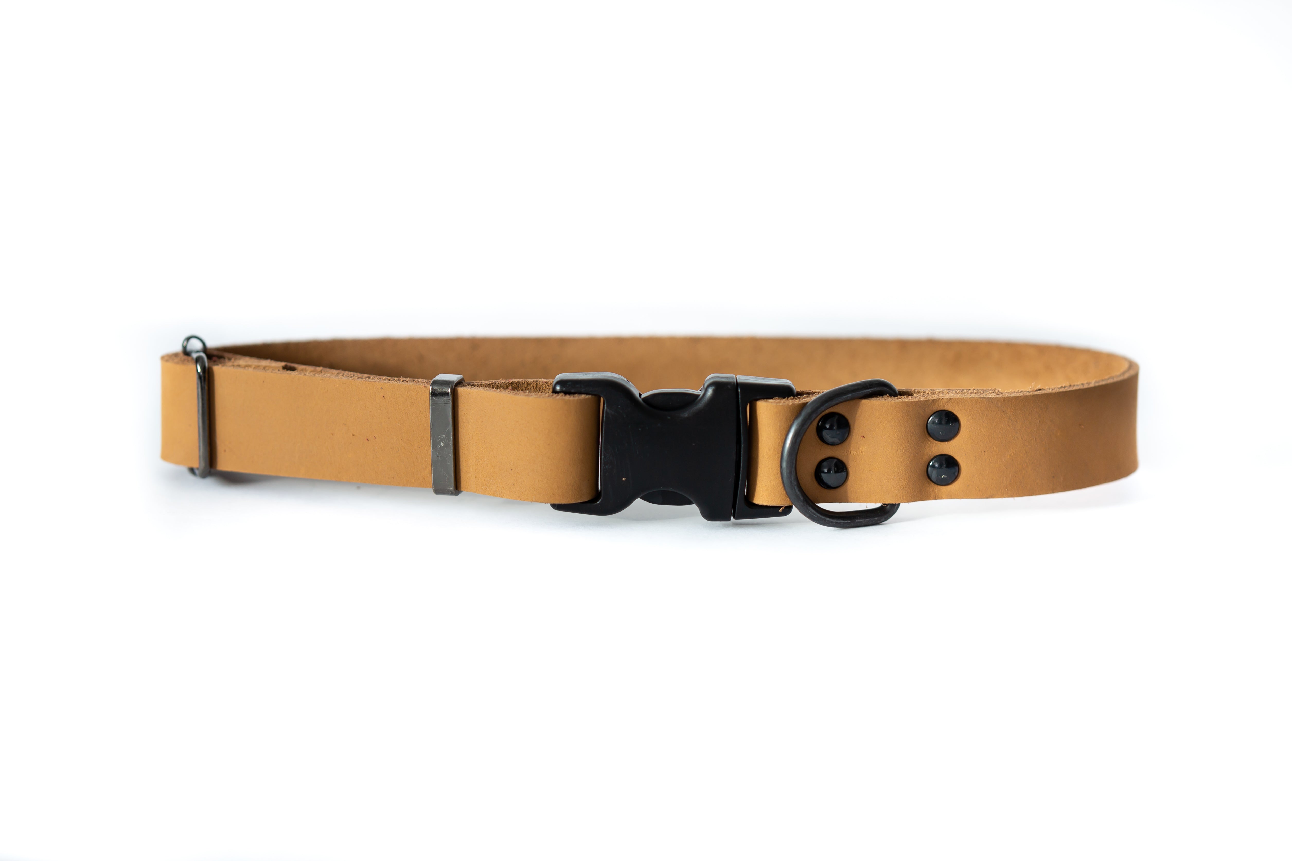 Sport Style Leather Dog Collar