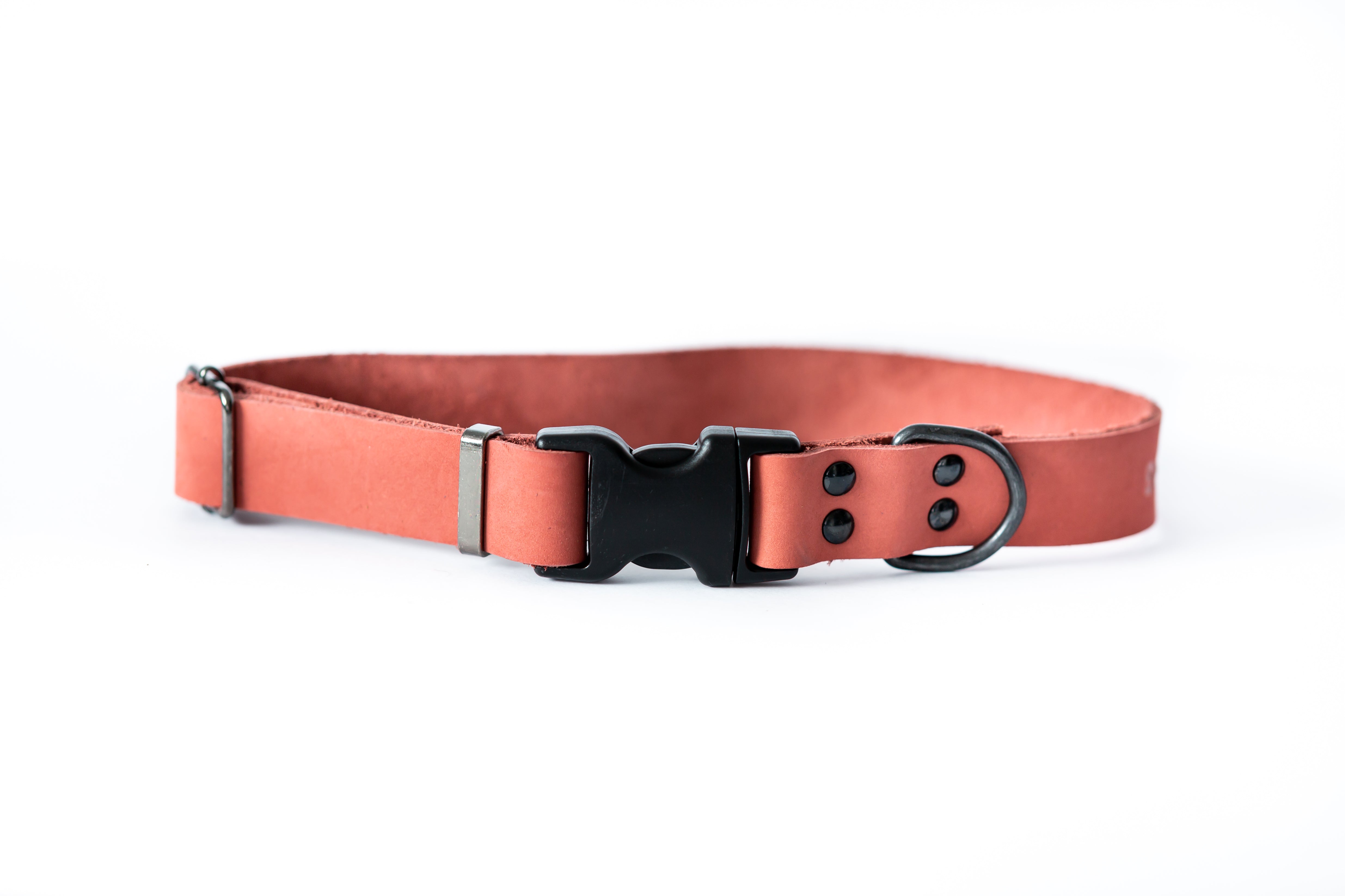 Sport Style Leather Dog Collar