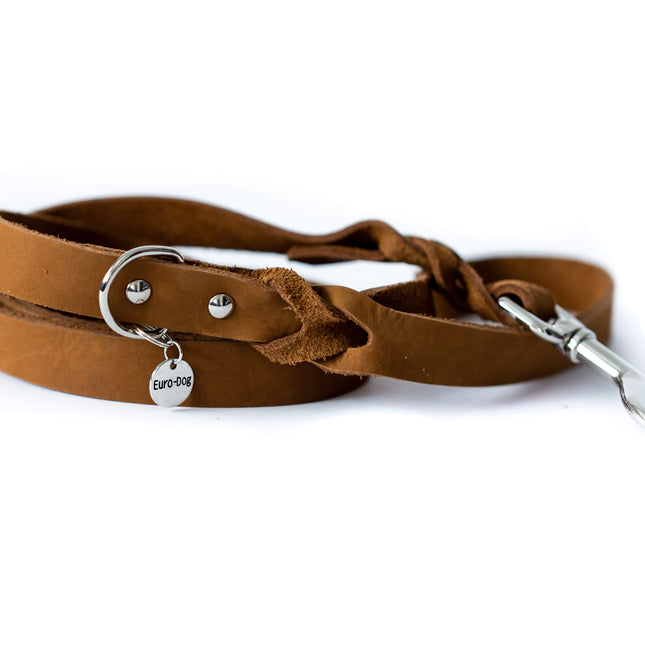 Leather Braided Dog Leash