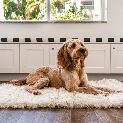 PupRug by Paw.com™ Portable Orthopedic Dog Bed - White with Brown Accents