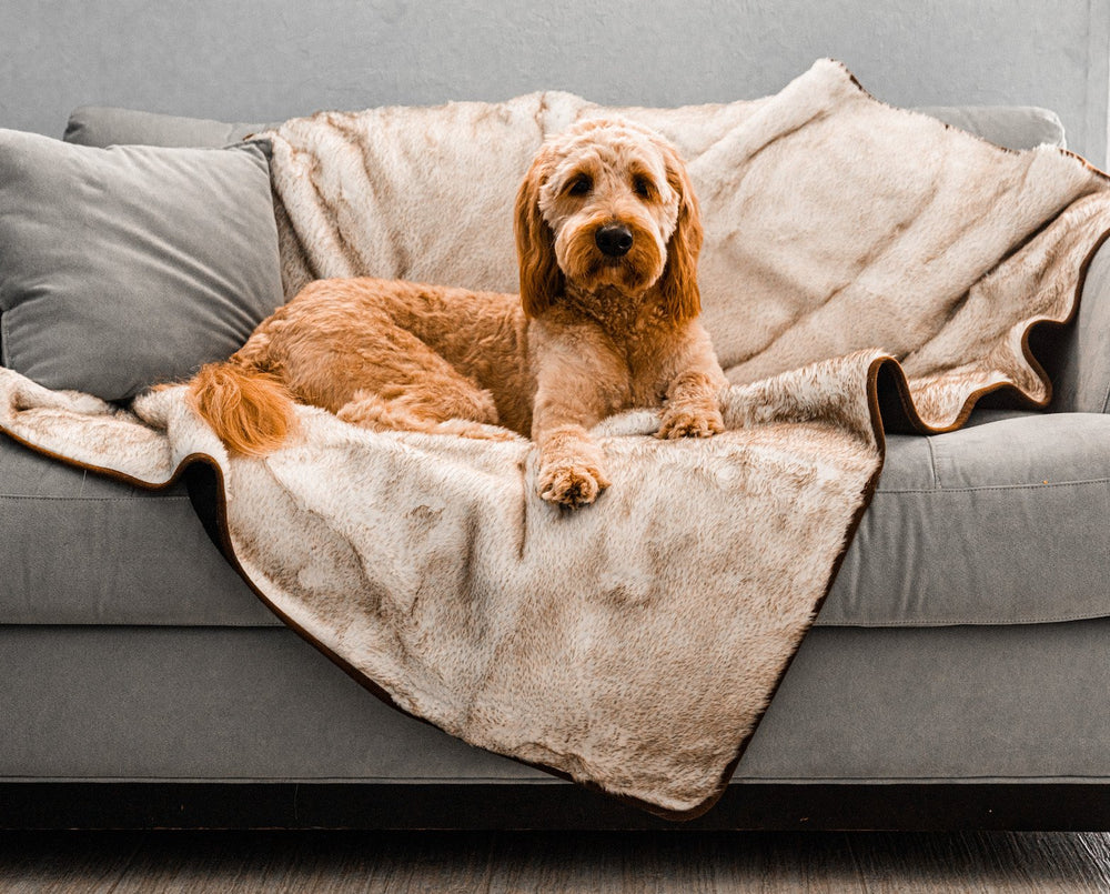 PupProtector™ Short Fur Waterproof Throw Blanket - White with Brown Accents