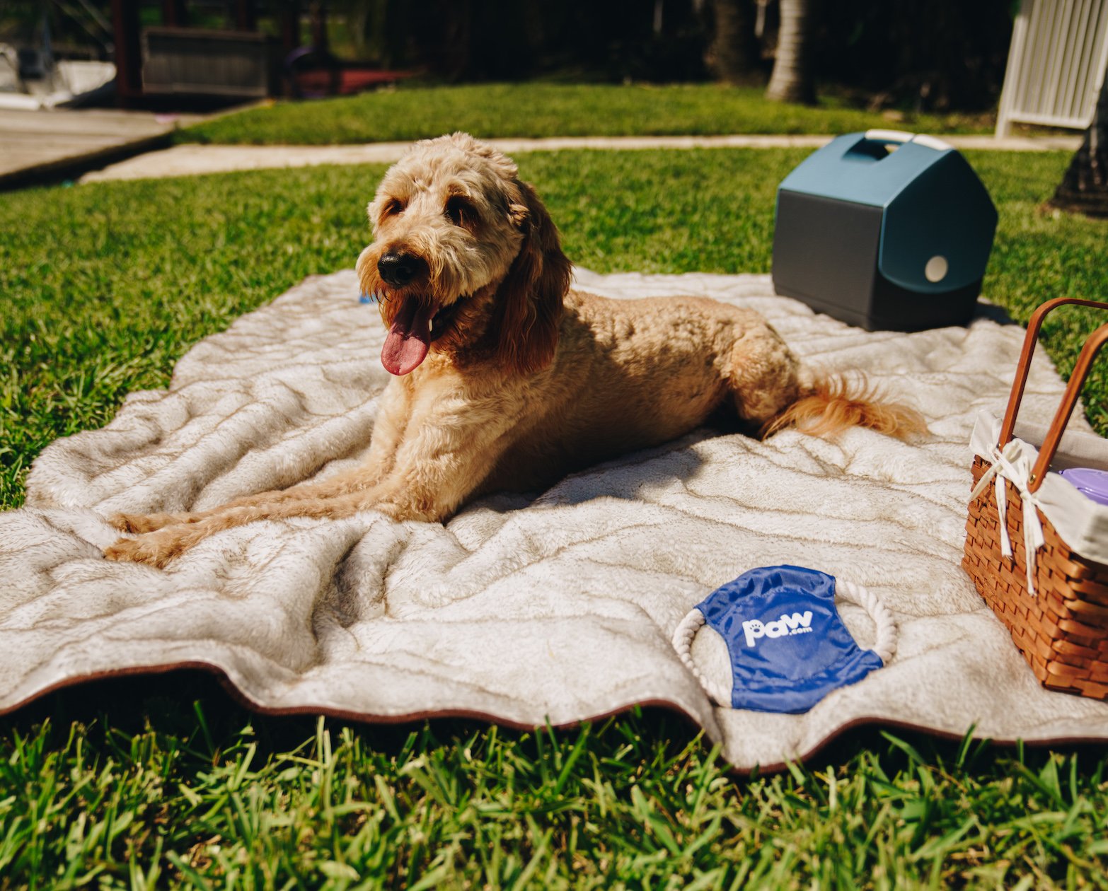 PupProtector™ Short Fur Waterproof Throw Blanket - White with Brown Accents