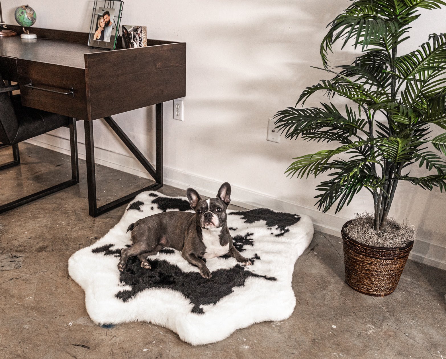 PupRugAnimal Print Memory Foam Dog Bed - Black Faux Cowhide