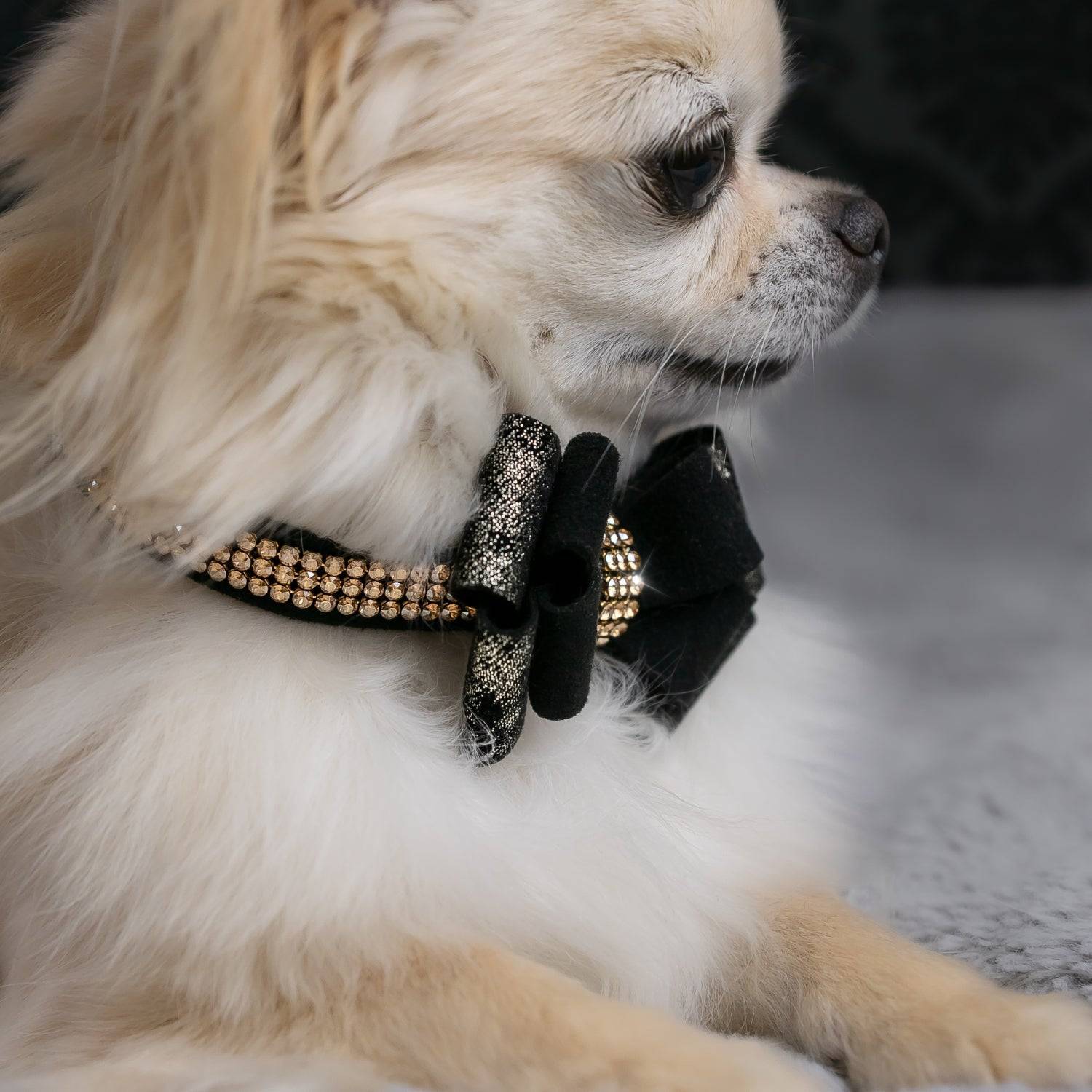 Black Glitzerati Double Nouveau Bow 3 Row Gold Giltmore Collar