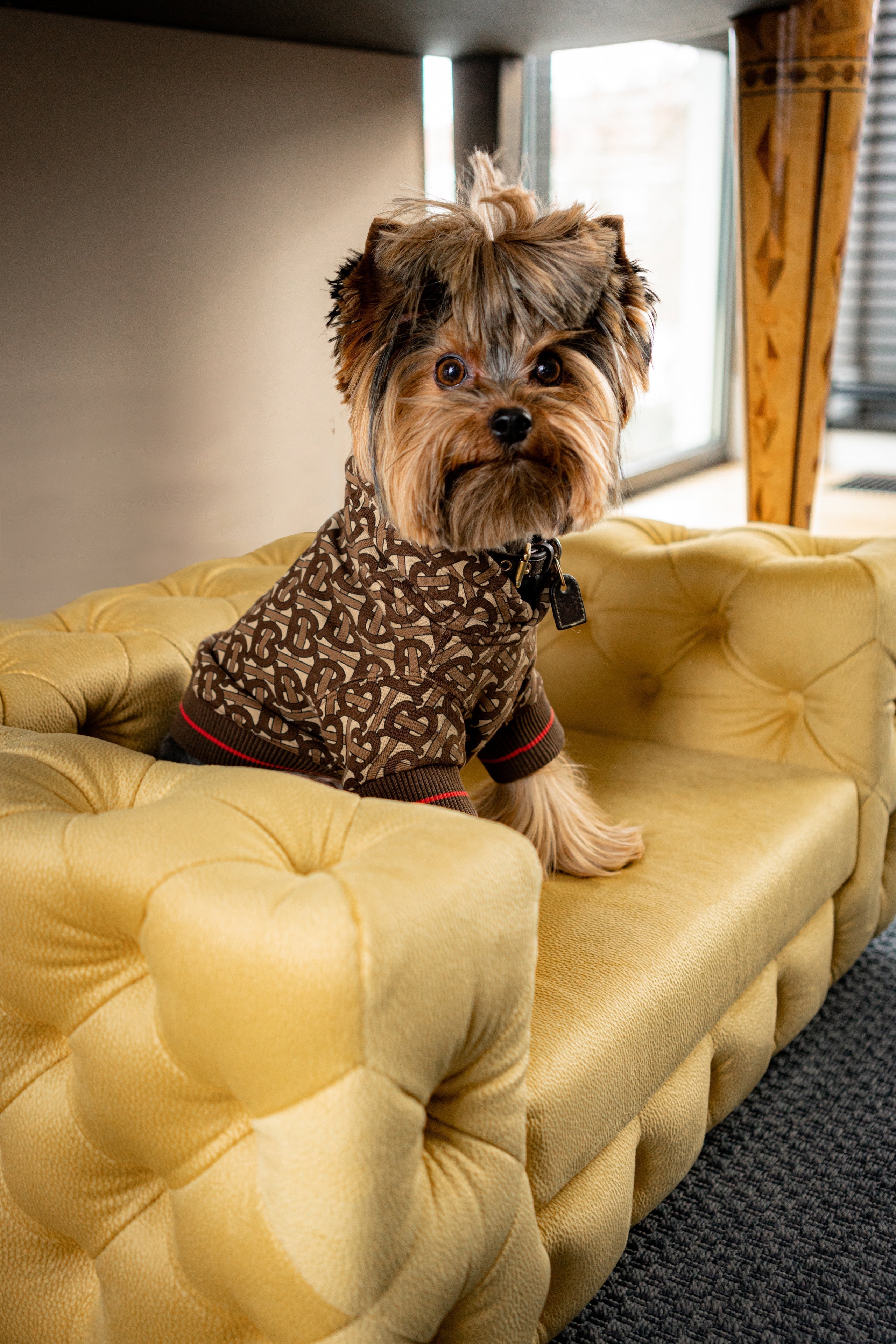 The Glamour Luxury Pet Bed in Yellow