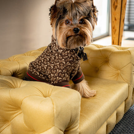 The Glamour Luxury Pet Bed in Yellow