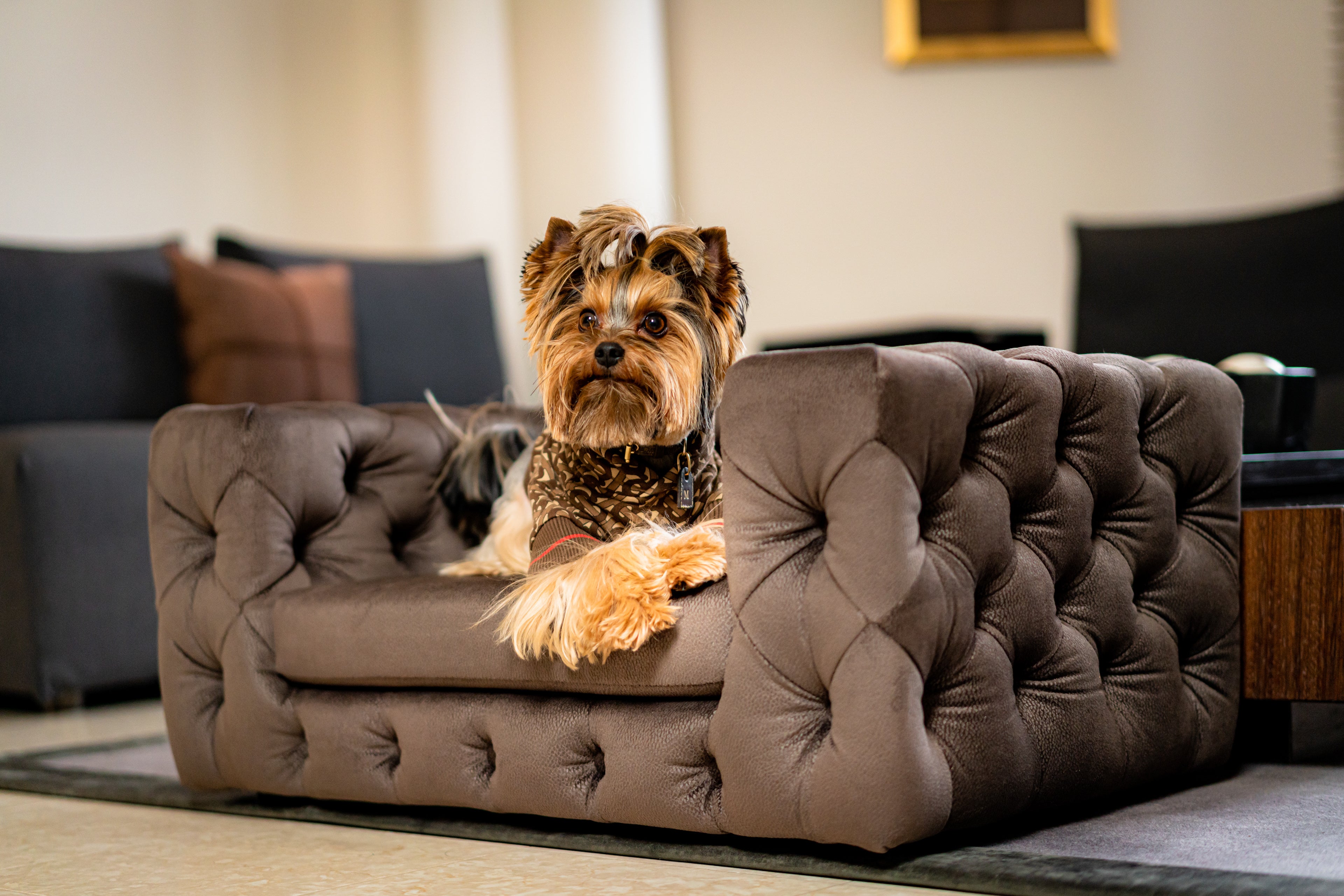 The Glamour Luxury Pet Bed in Dark Brown