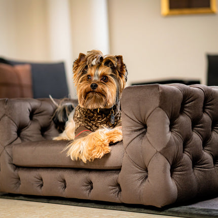 The Glamour Luxury Pet Bed in Dark Brown