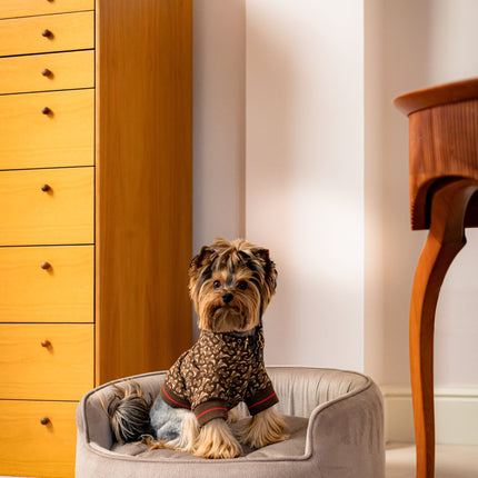 The Yin & Yang Luxury Pet Bed in Yellow