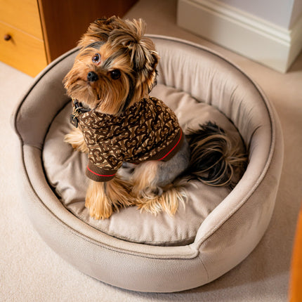 The Yin & Yang Luxury Pet Bed in Yellow