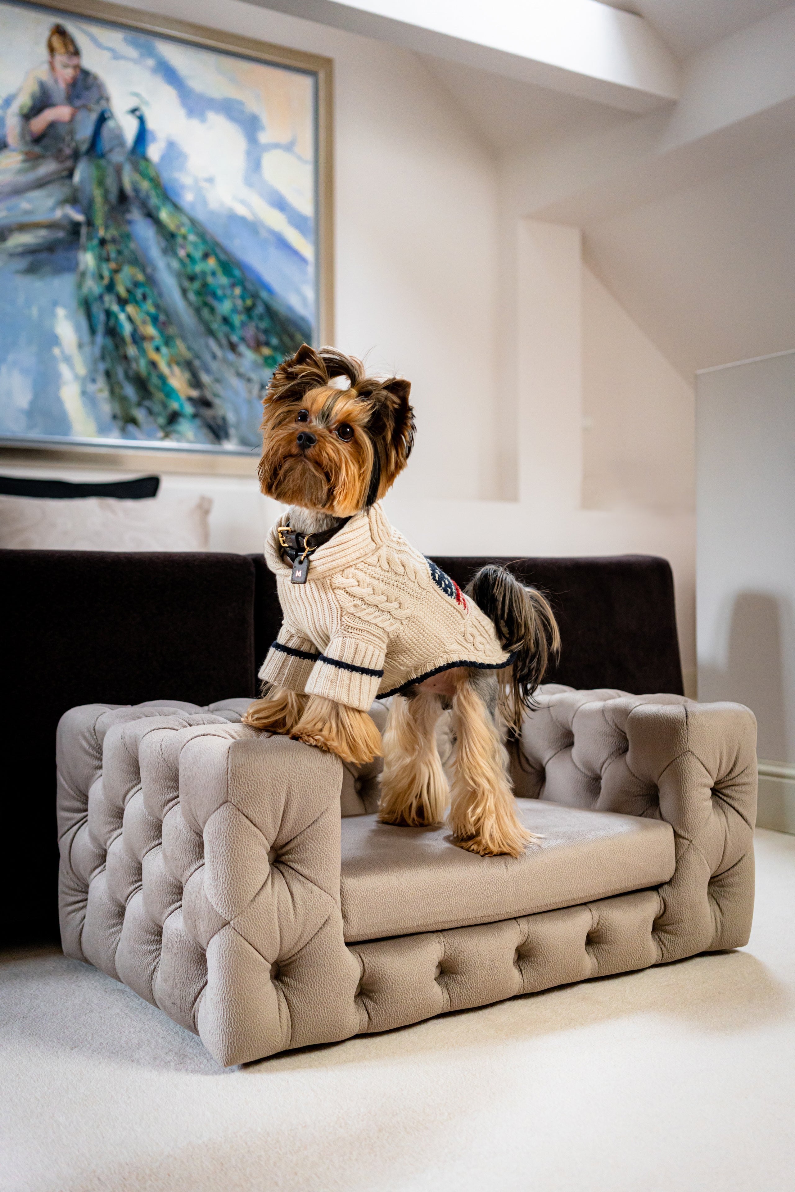 The Glamour Luxury Pet Bed in Yellow