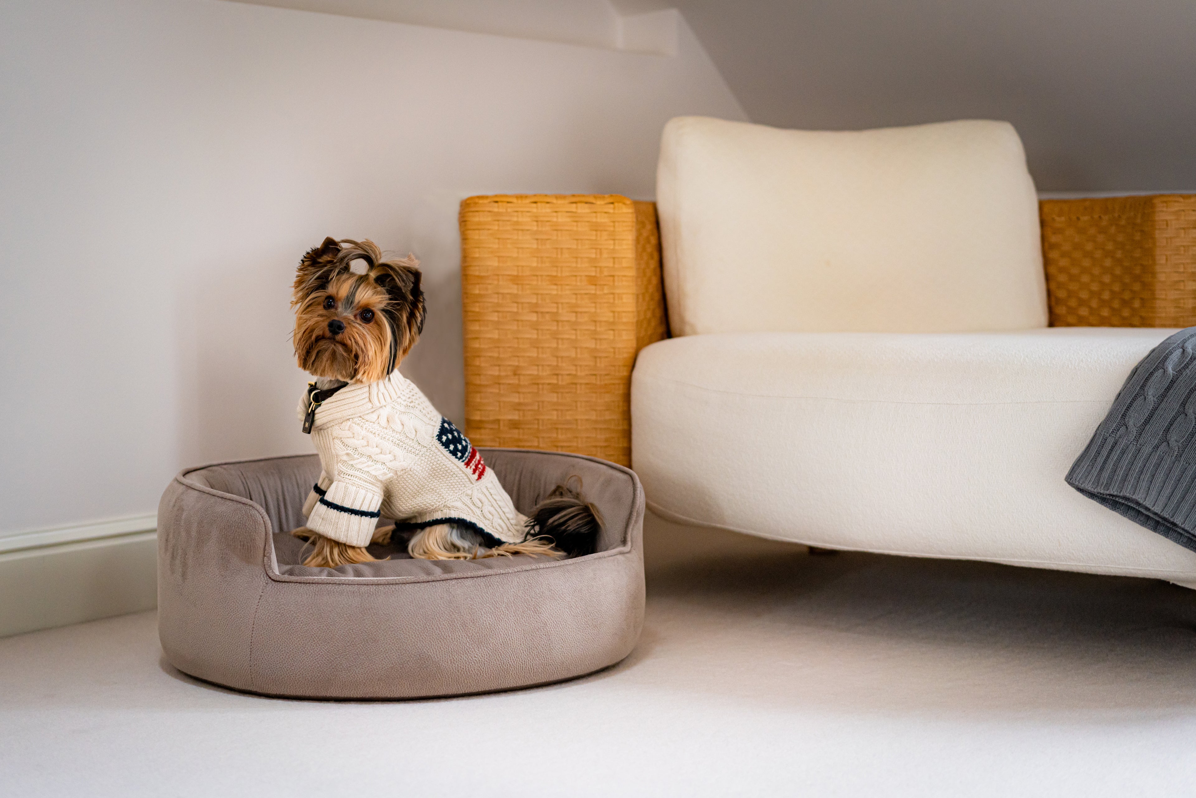 The Yin & Yang Luxury Pet Bed in Pink